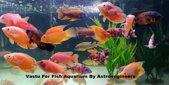 Vastu for Fish Aquarium